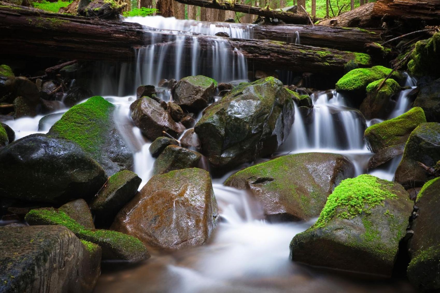 Sol Duc Hot Springs Resort Ovington Extérieur photo